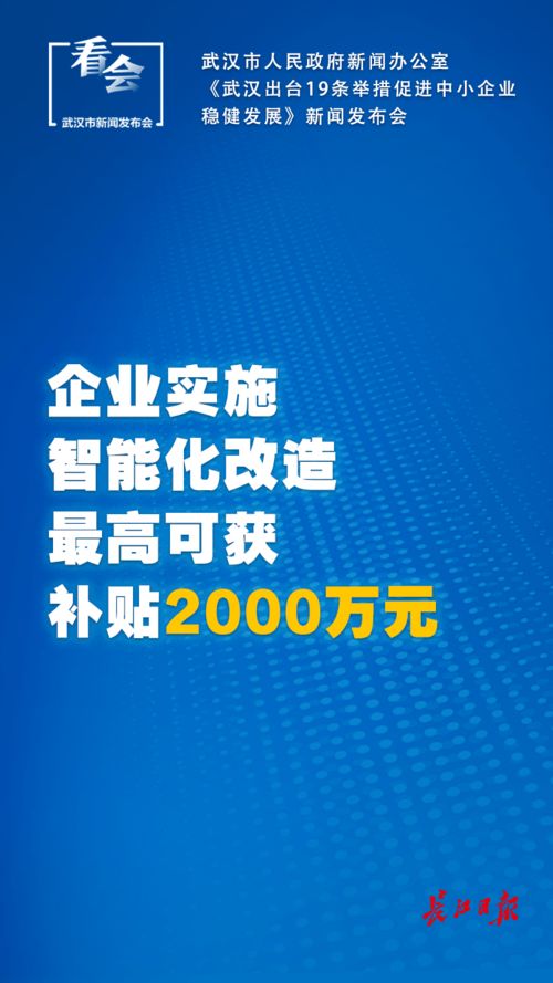 武漢出臺中小企業(yè)扶持新政 社保延長、稅費減免與技術(shù)推廣齊發(fā)力